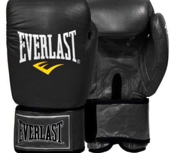 دستکش بوکس چرم EVERLAST